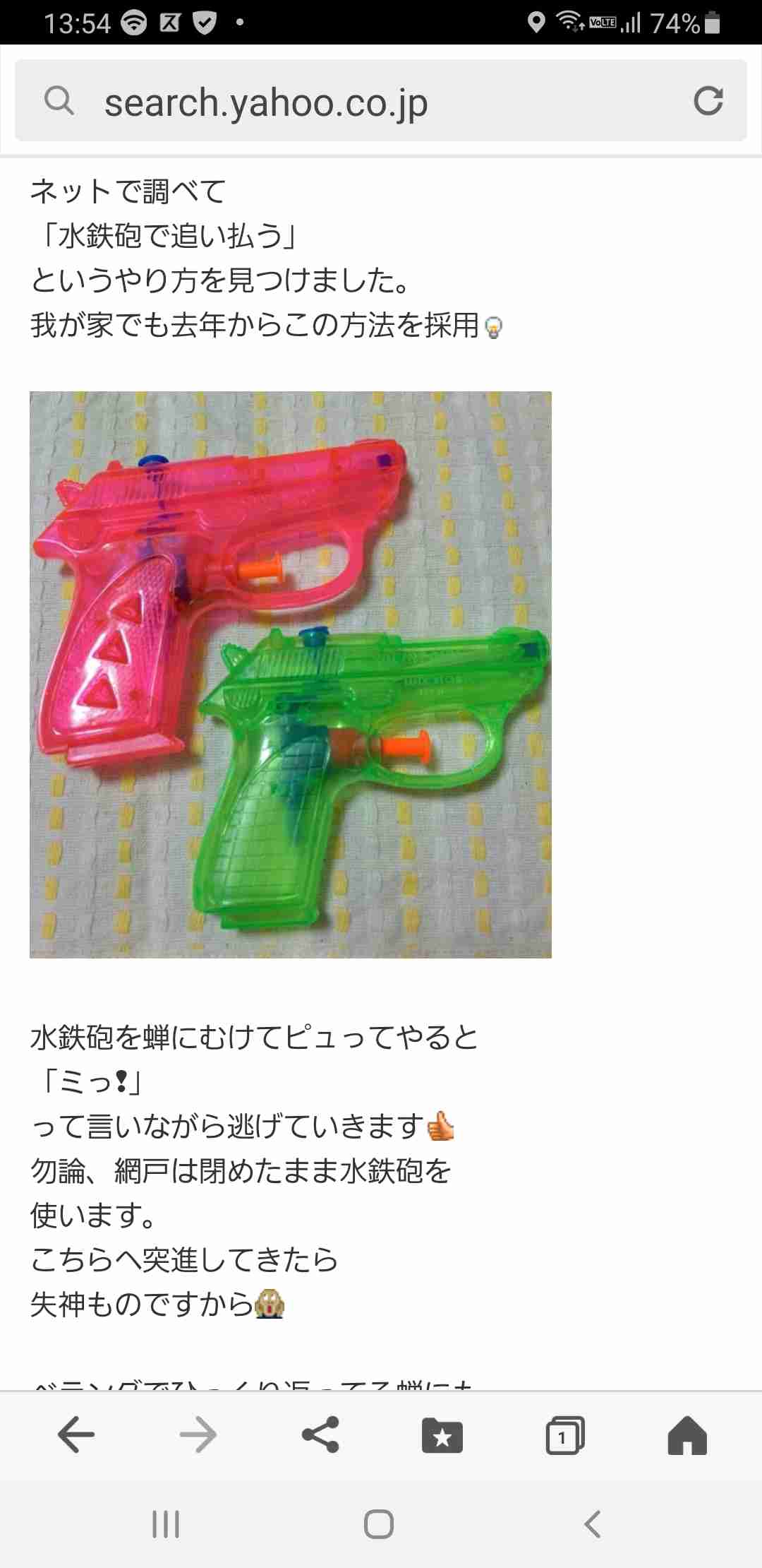 今年のセミ爆弾報告会