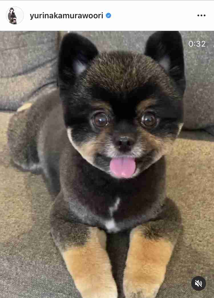 中村ゆりさんが好き