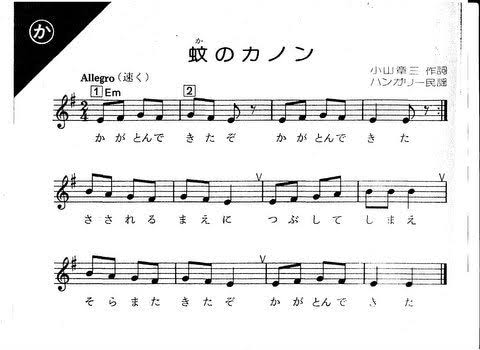 蚊に刺されやすい🦟