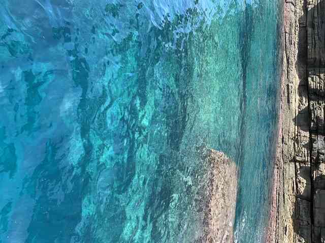 長崎県に行きたい！