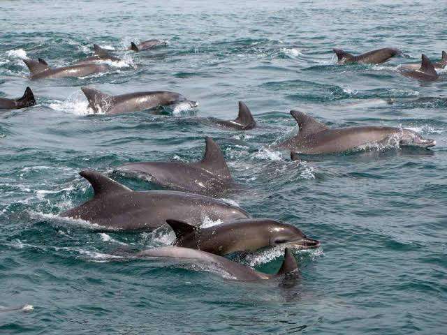 長崎県に行きたい！