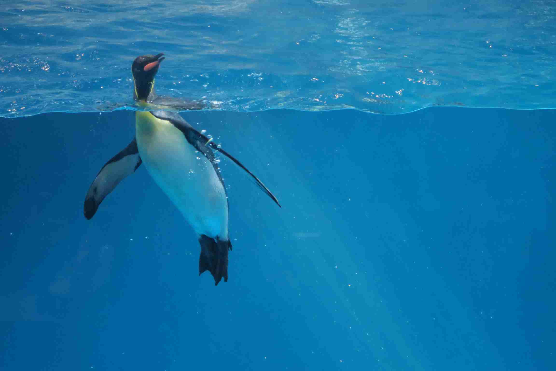 長崎県に行きたい！