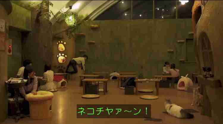 【実況・感想】「おじさんはカワイイものがお好き。」#03