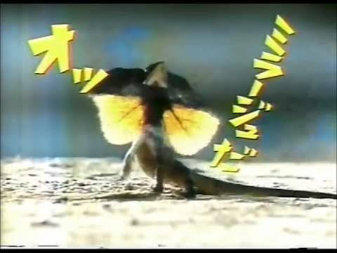 貼られたCMの画像を見て何のCMか分かったらプラス