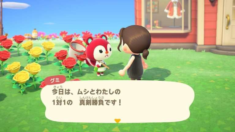 あつ森 好きな住民