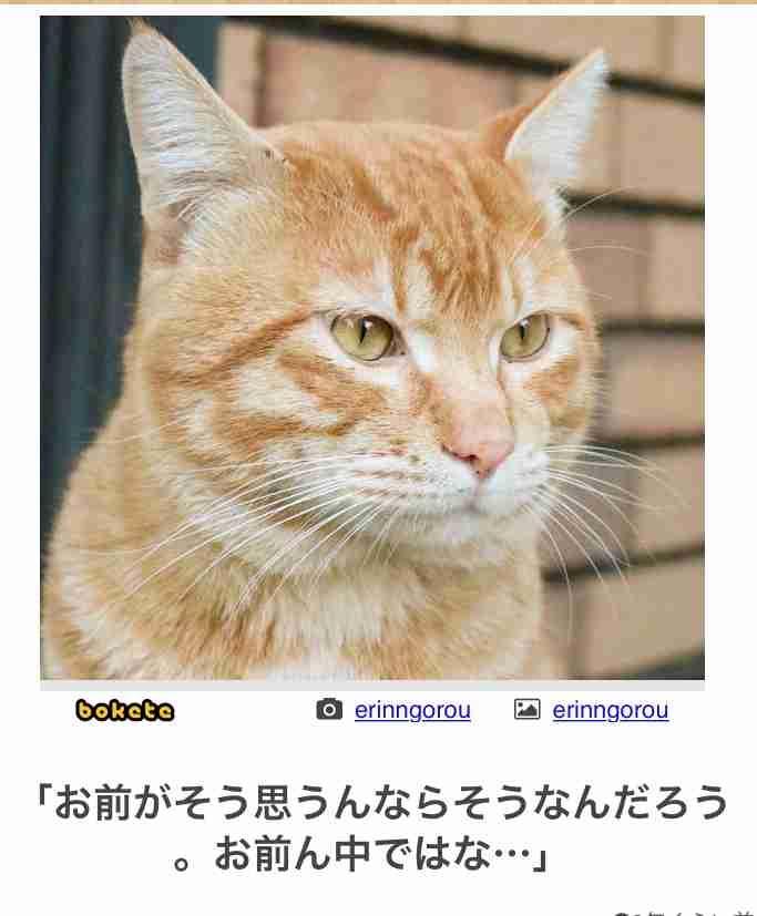叩きトピに疲れた人　part15