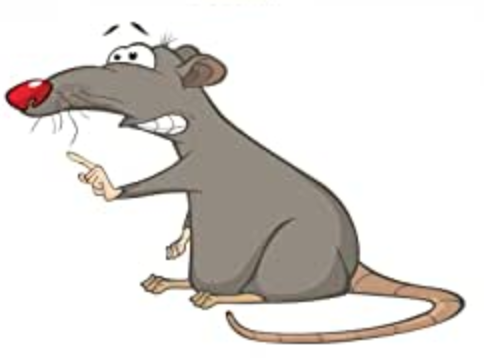 似ている有名人は誰ですか？