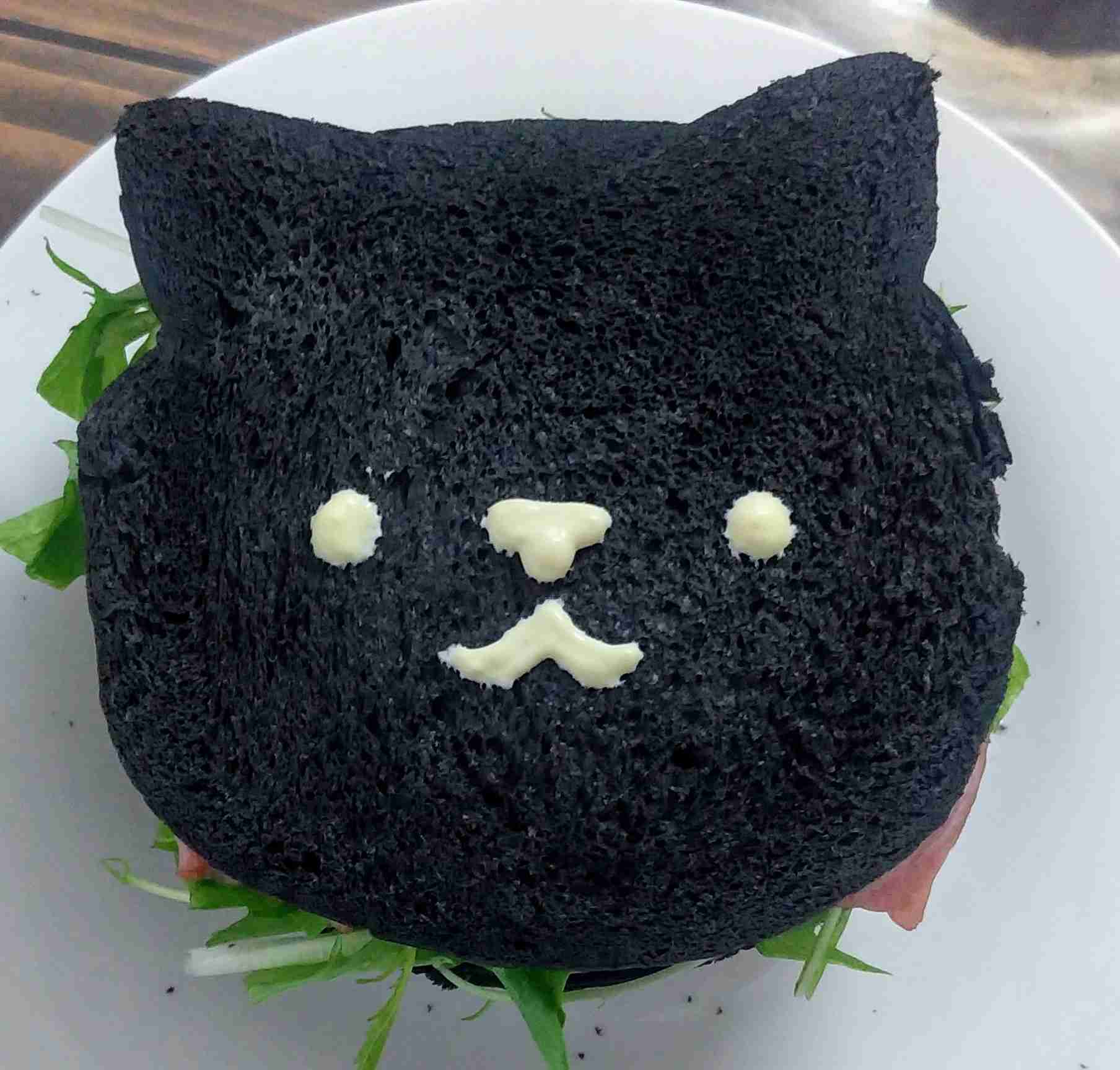 8月8日　世界猫の日🐈
