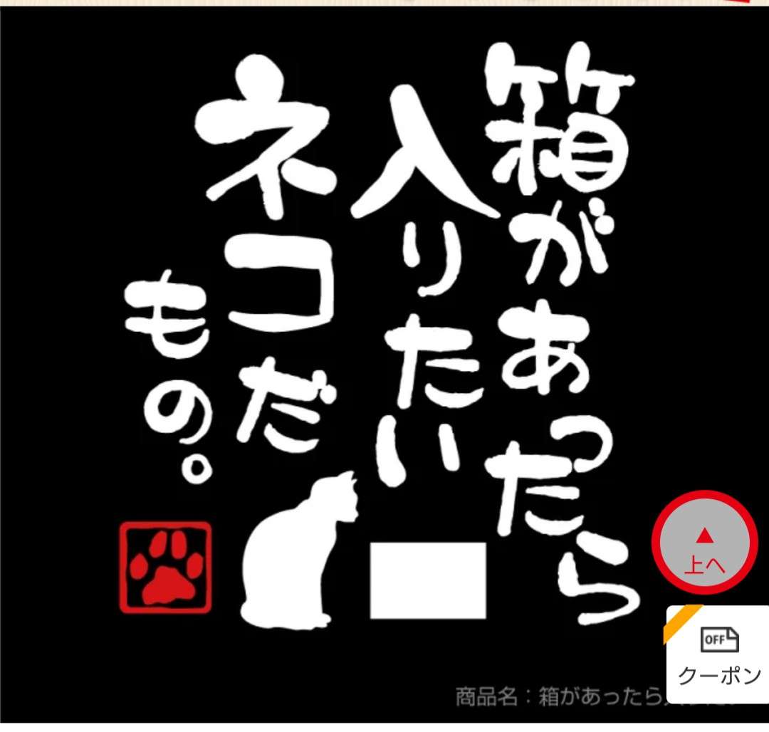 8月8日　世界猫の日🐈