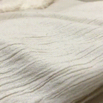 8月8日　世界猫の日🐈