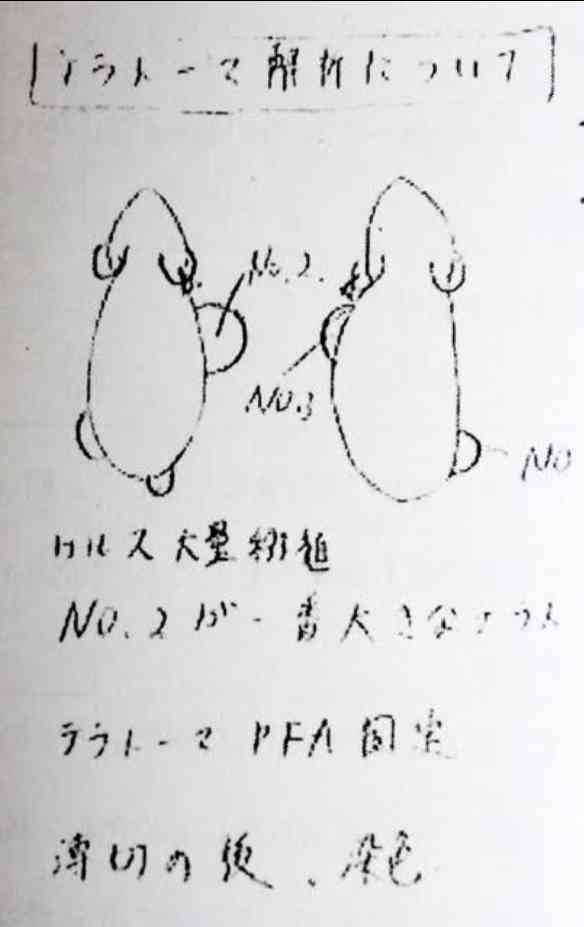 「誰も再現できない」岡田晴恵教授の新たな「不適切実験」疑惑を実名証言