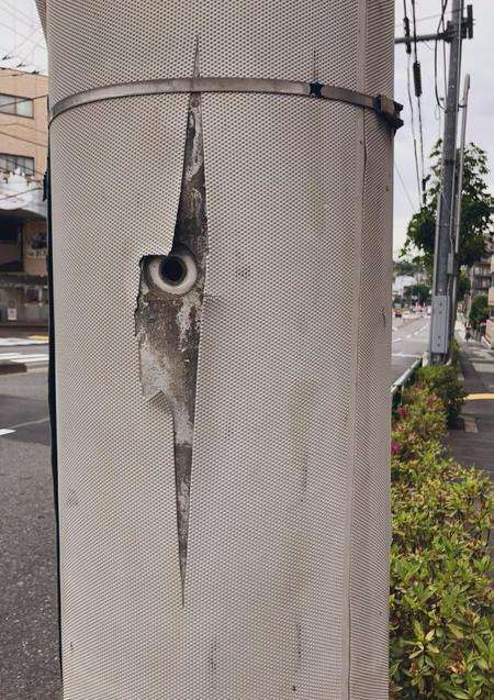 【一応閲覧注意】不安になる画像を貼るトピ