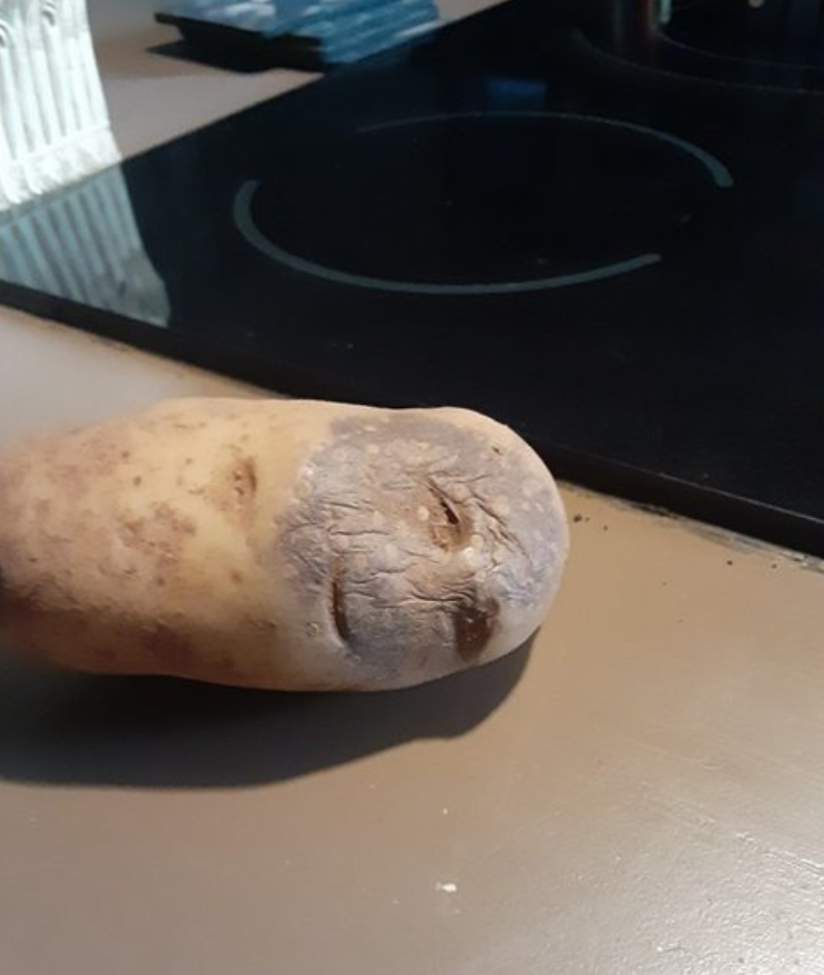 【一応閲覧注意】不安になる画像を貼るトピ