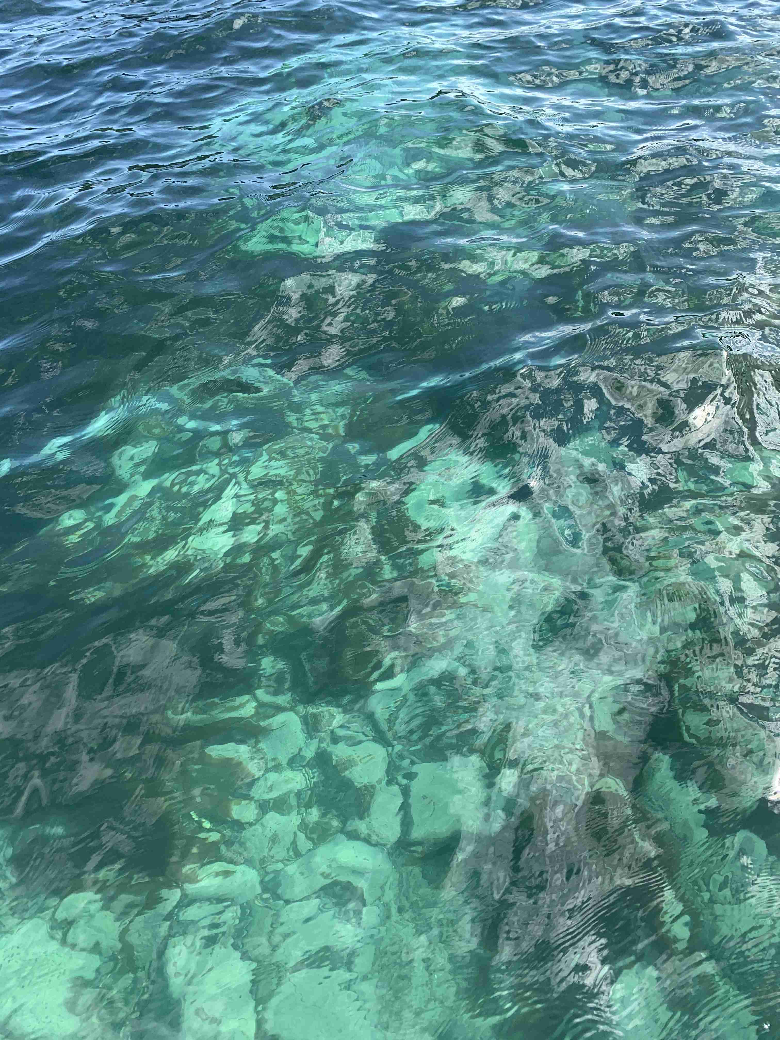 【一応閲覧注意】不安になる画像を貼るトピ