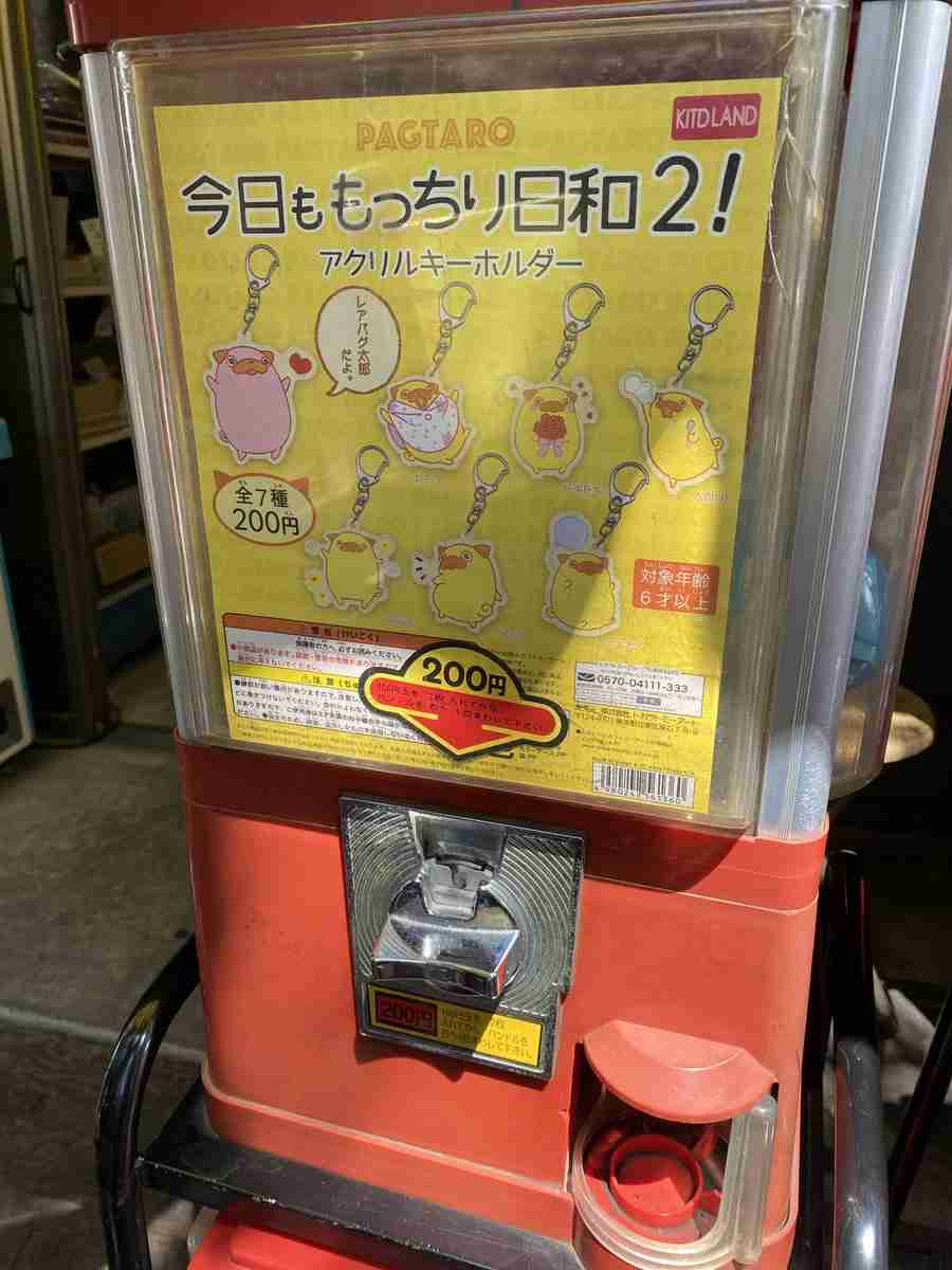 眞島秀和さんを語りましょう