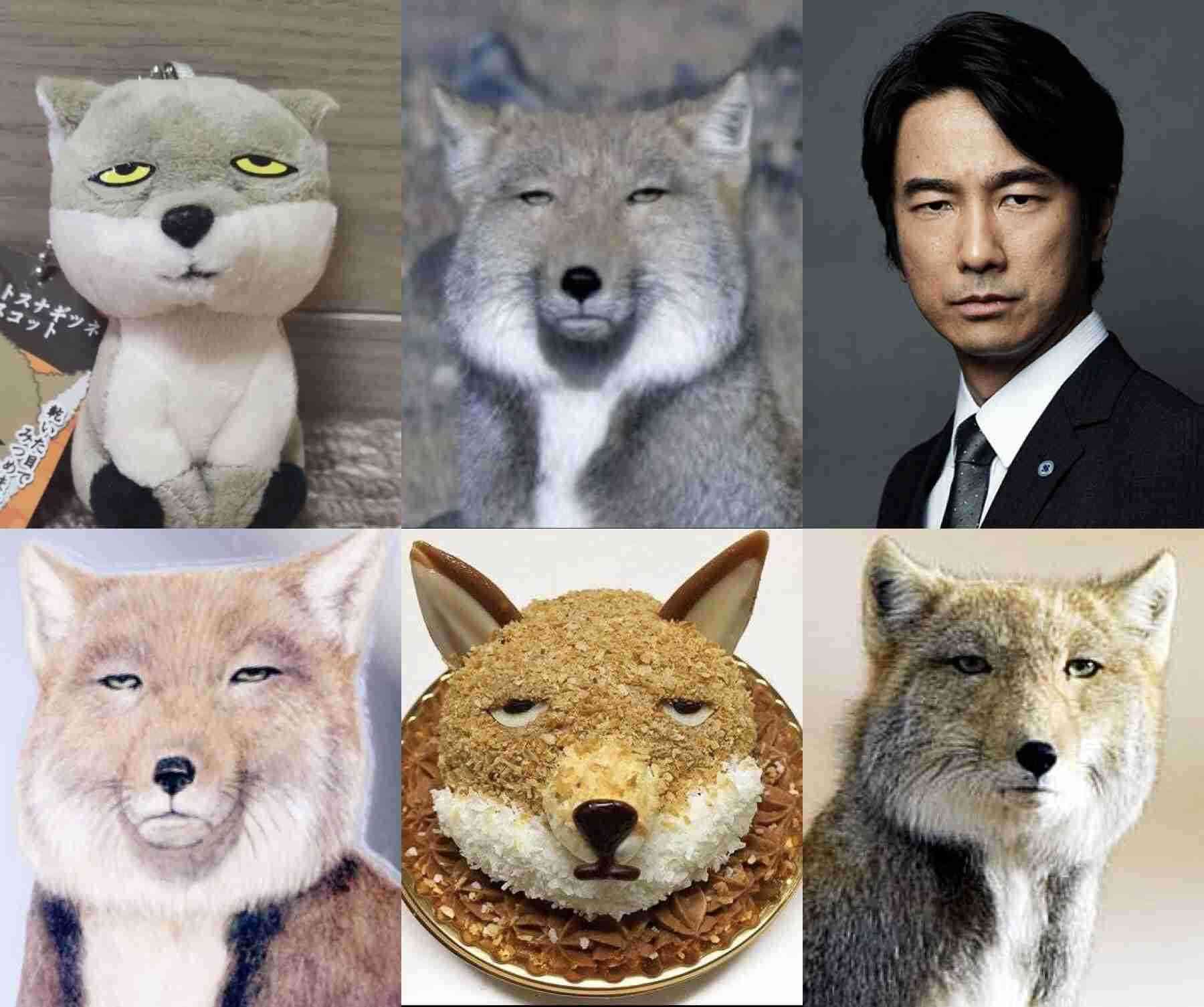 眞島秀和さんを語りましょう