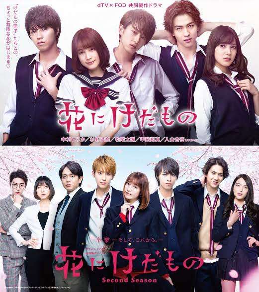おばさんになると若い俳優や女優が出てるような恋愛青春映画を見るのは苦手になってきますか？