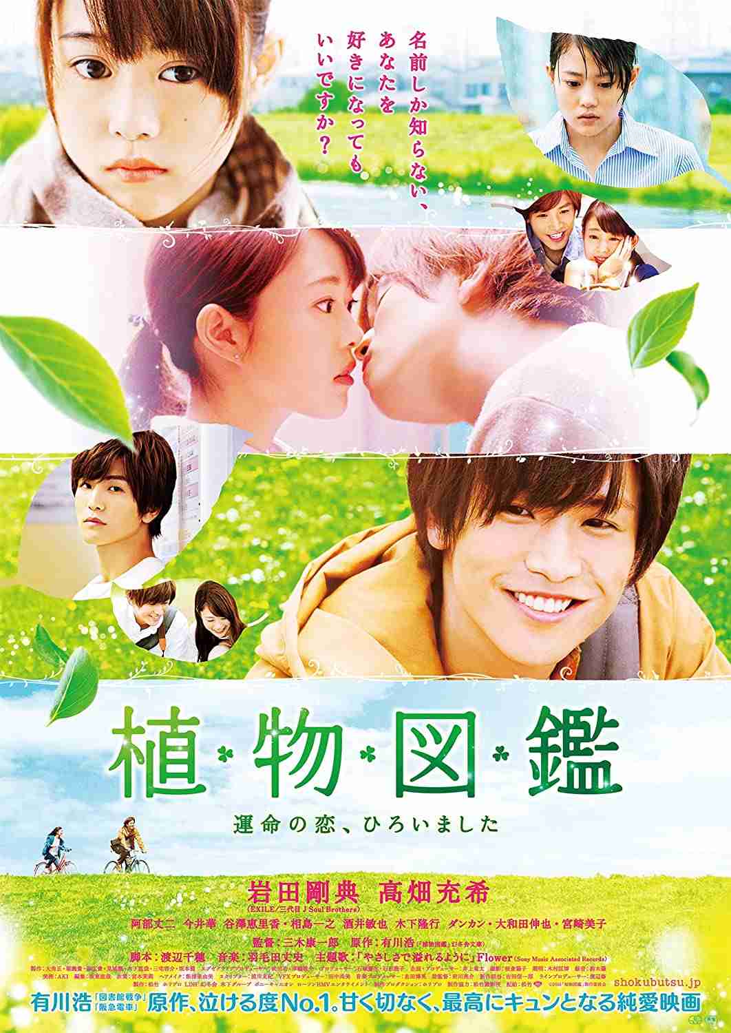 おばさんになると若い俳優や女優が出てるような恋愛青春映画を見るのは苦手になってきますか？