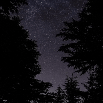 好きな夜景の画像が集まるトピ