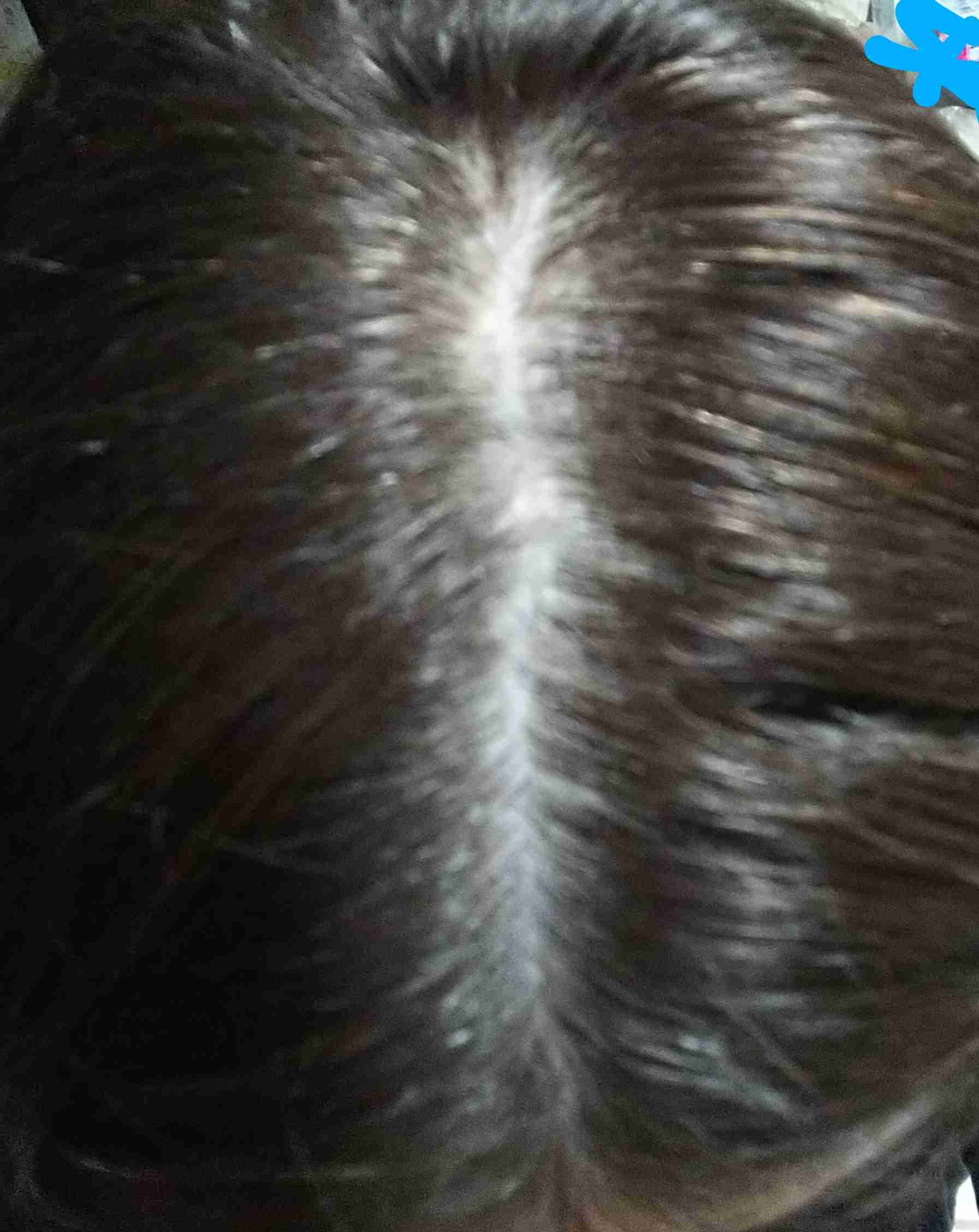効果のあるヘアケア