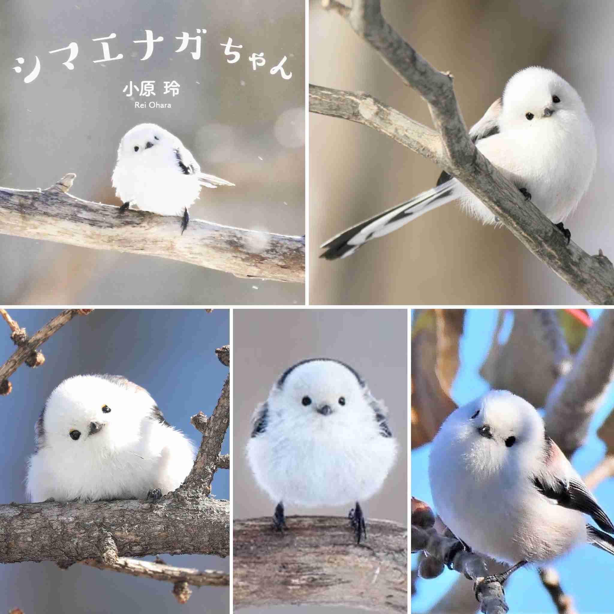 新刊発売 ゴールデンカムイを語りたい 定期トピ ガールズちゃんねる Girls Channel