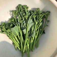 プランター菜園されてるかた語りましょう