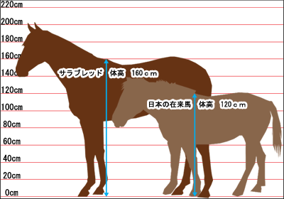 関ヶ原の戦いを語ろう