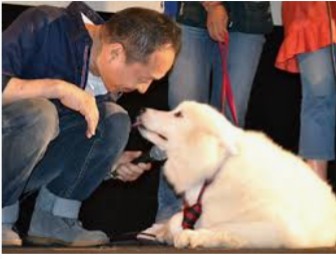 ドラマ・映画の見つめあう2人の画像