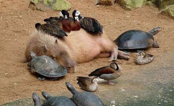 なぜか周りから好かれる人