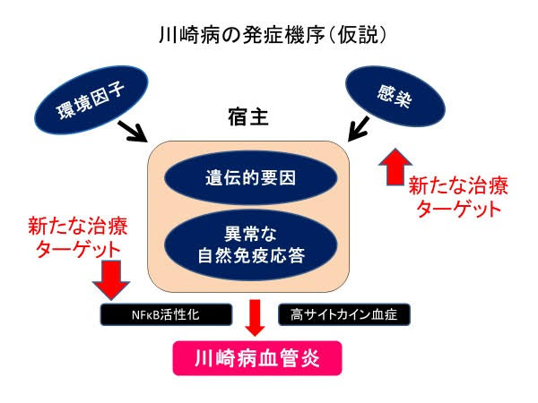 コロナ感染後に川崎病　1歳男児発症、国内で初確認　海外で類似ケース