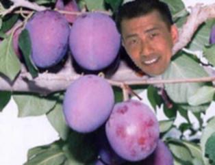 中井貴一好きな人!!