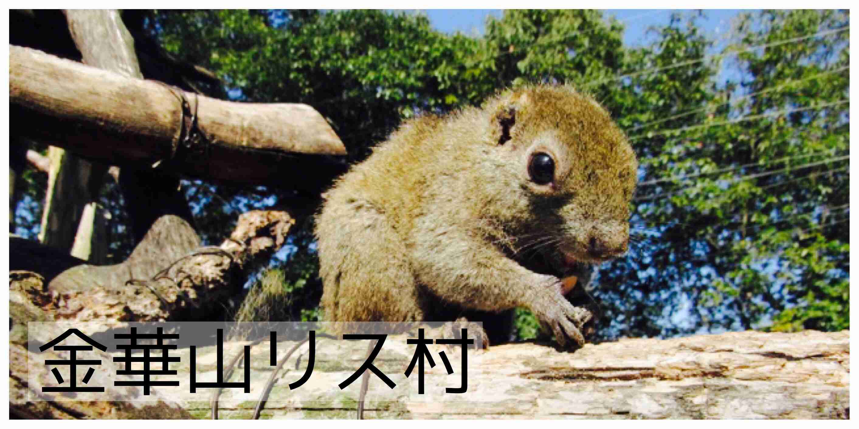 【定期トピ】岐阜県民集まれ!