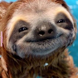 動物画像の動物に、ニックネームを付けてみるトピ