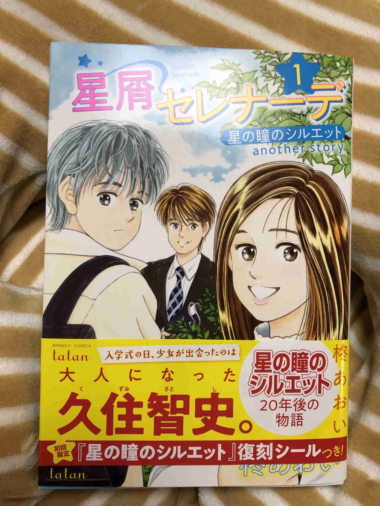 「星の瞳のシルエット」を語ろう