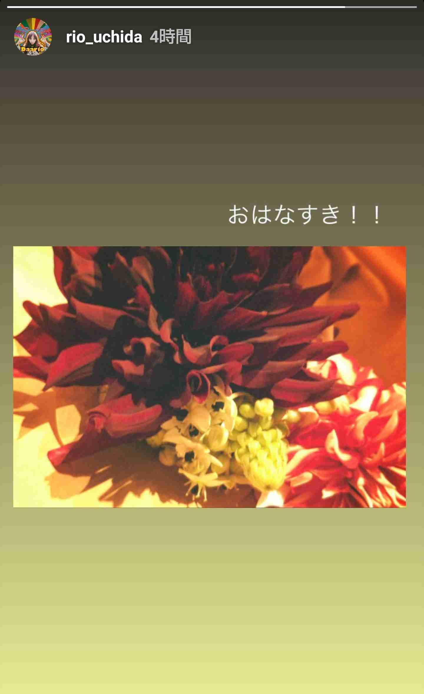 内田理央、SNSでKis-My-Ft2・北山宏光との交際を匂わせ？「ファンを煽ってる」「もう許せない」とコメント欄大荒れ