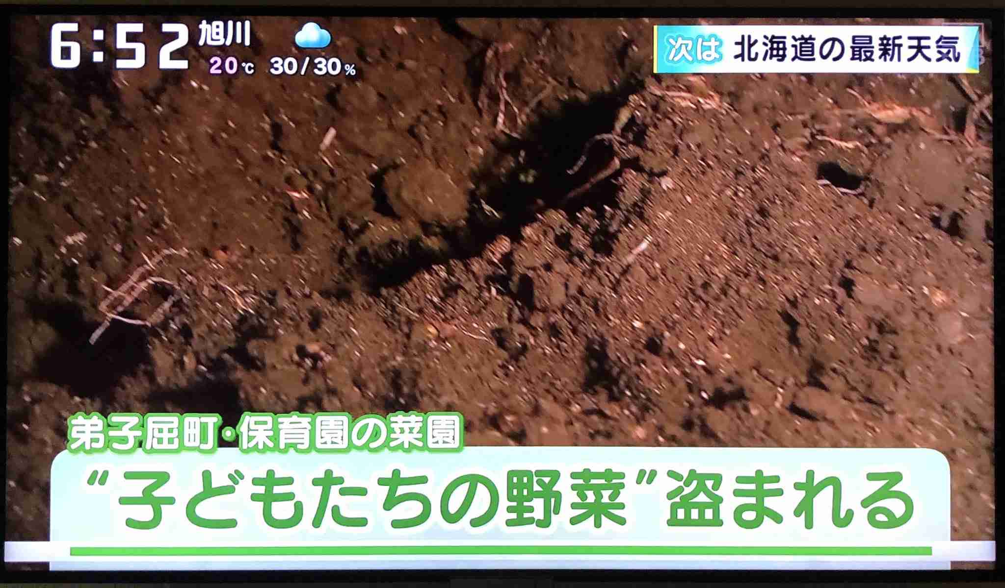 埼玉で子豚130頭、325万円相当が盗まれる 2500頭飼育の養豚場から