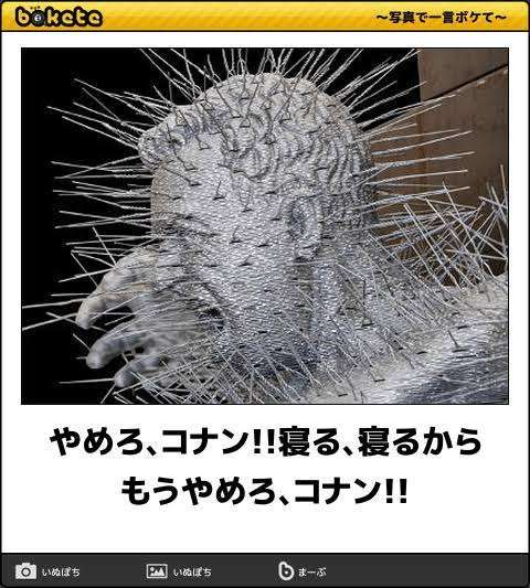 名探偵コナンの地味に気になること