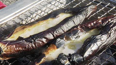 今日のびっくりしたこと報告