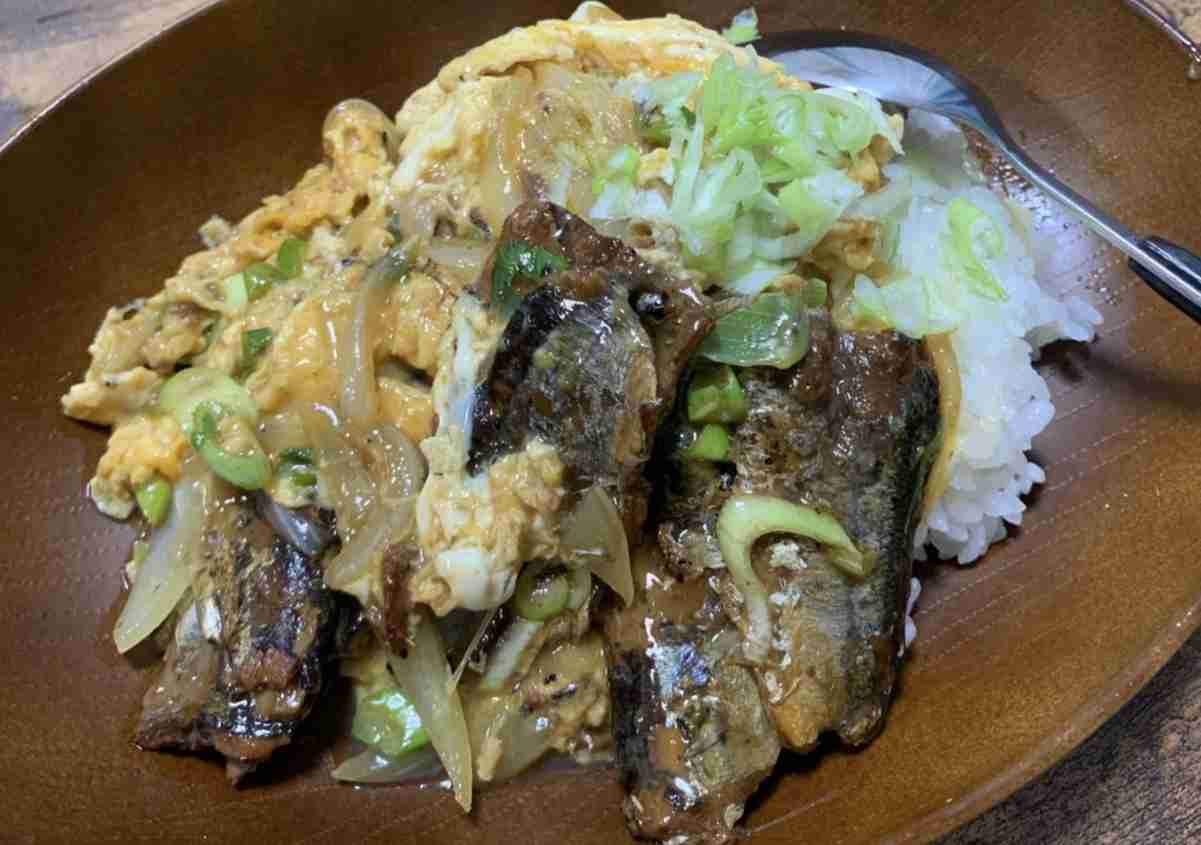 ぼっちの料理ショー part2