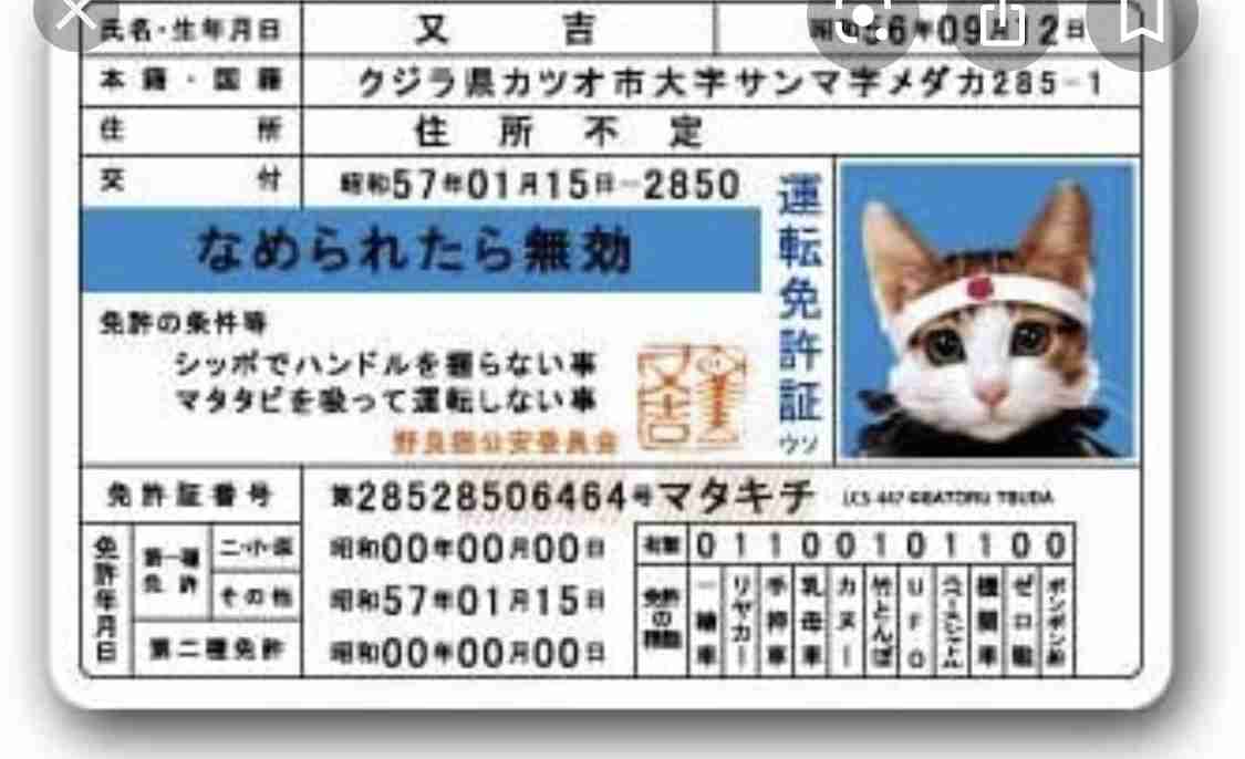 1番恥ずかしかった失敗をした人が優勝！