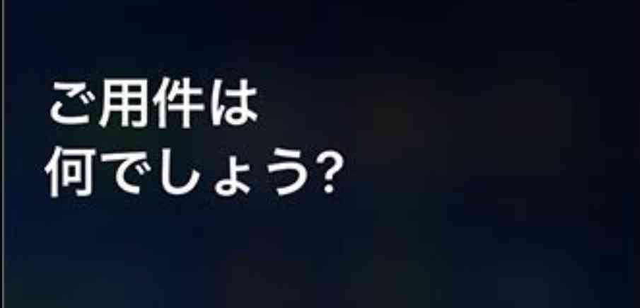 お尻が大きい