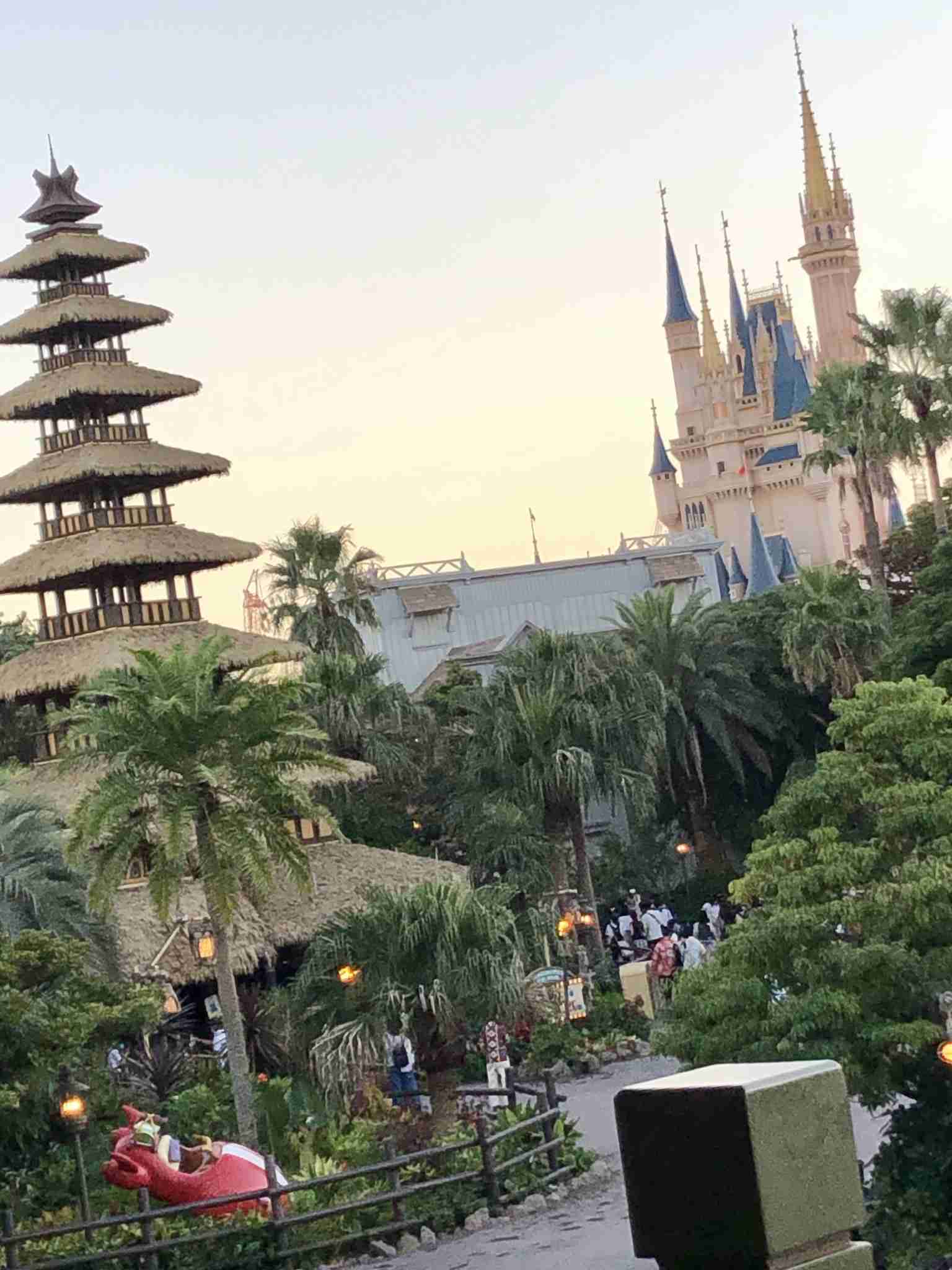 皆さんが撮ったディズニーランド&シーの写真を見せてください