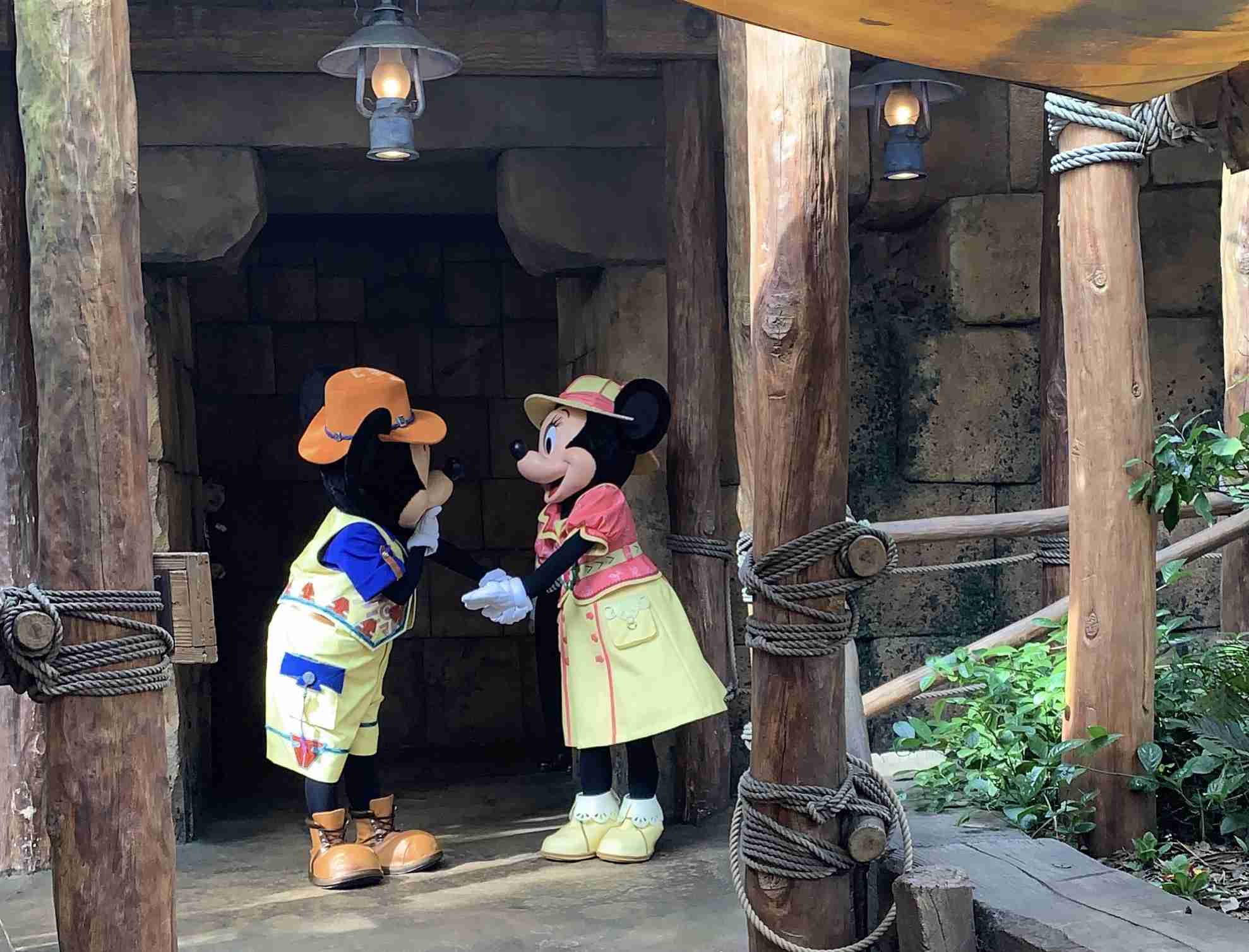 皆さんが撮ったディズニーランド&シーの写真を見せてください