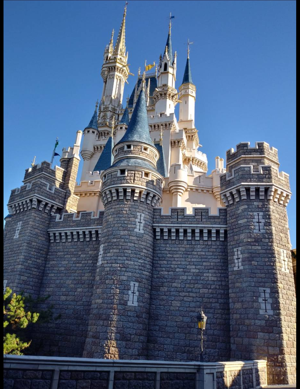 皆さんが撮ったディズニーランド&シーの写真を見せてください