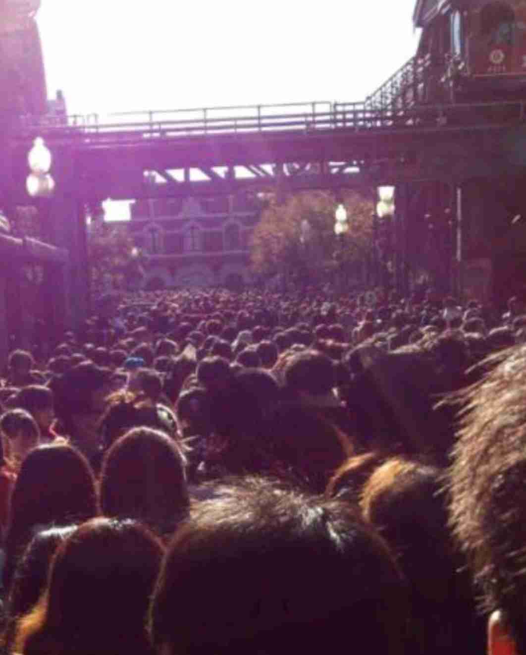 皆さんが撮ったディズニーランド&シーの写真を見せてください