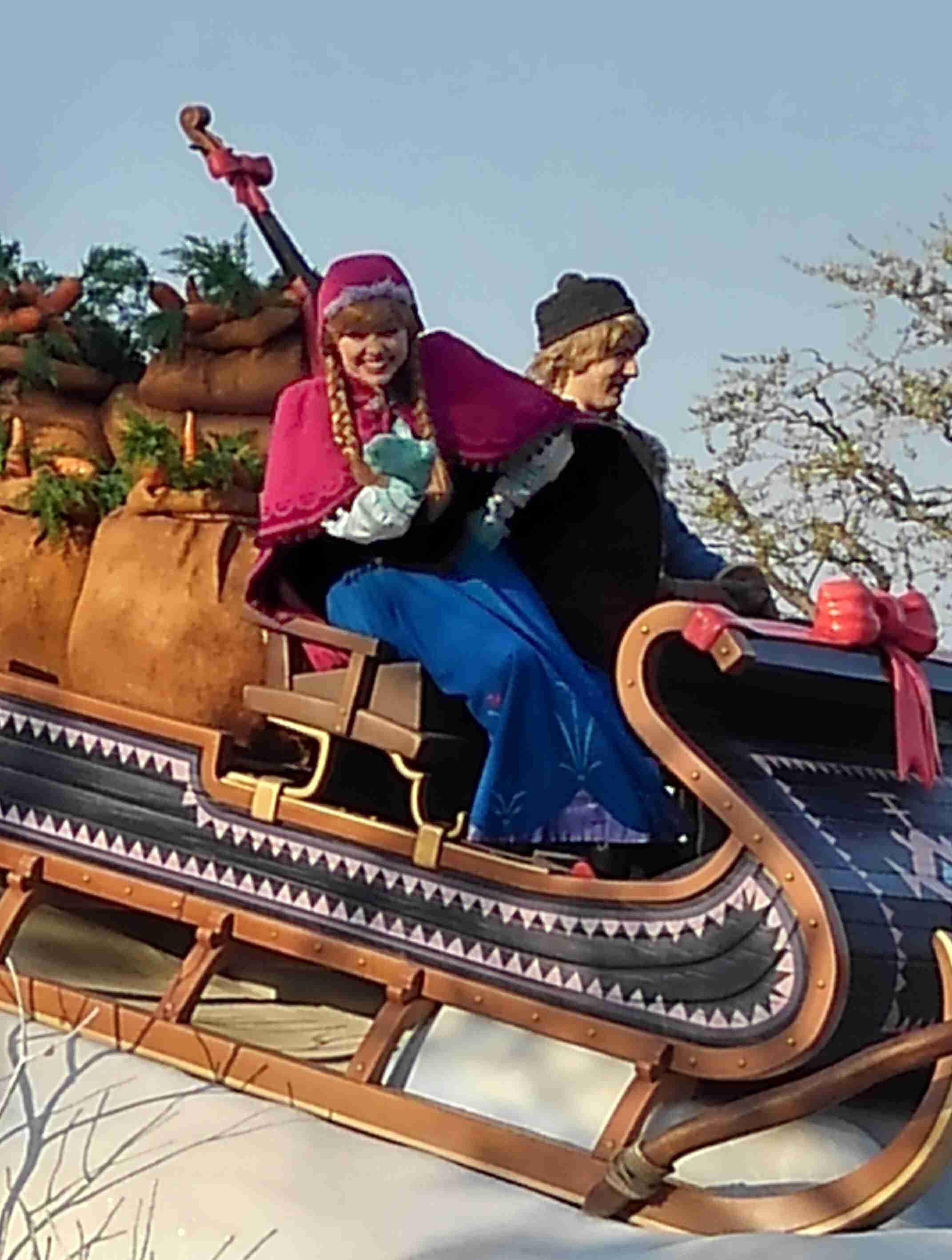 皆さんが撮ったディズニーランド&シーの写真を見せてください