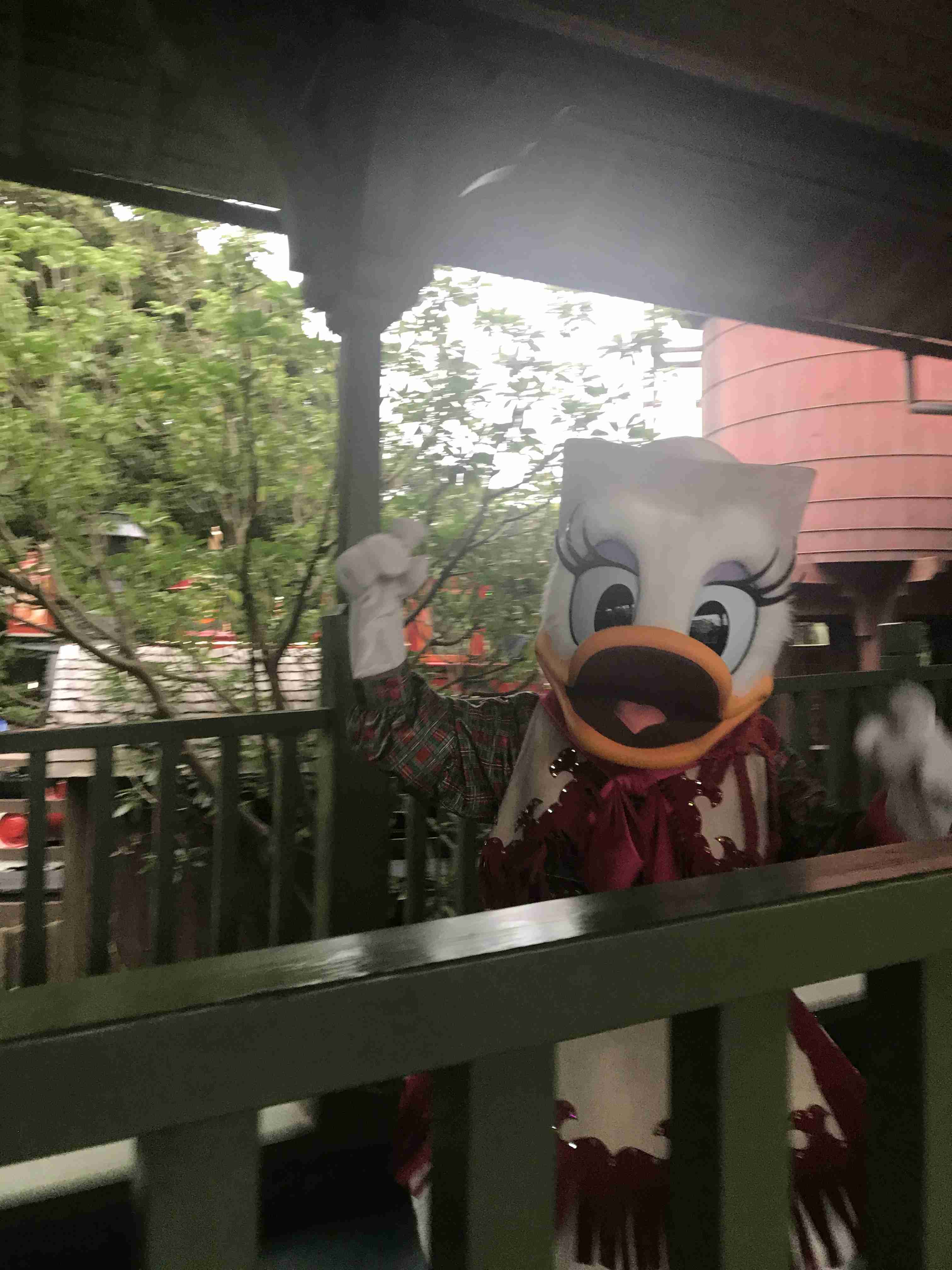 皆さんが撮ったディズニーランド&シーの写真を見せてください