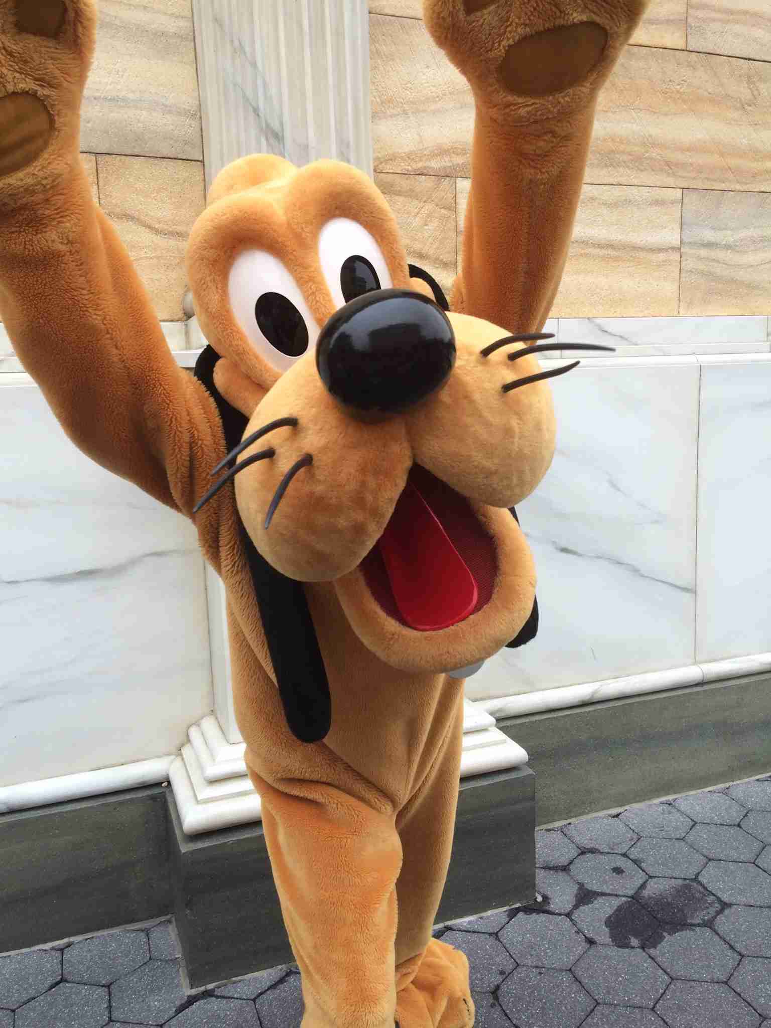 皆さんが撮ったディズニーランド&シーの写真を見せてください