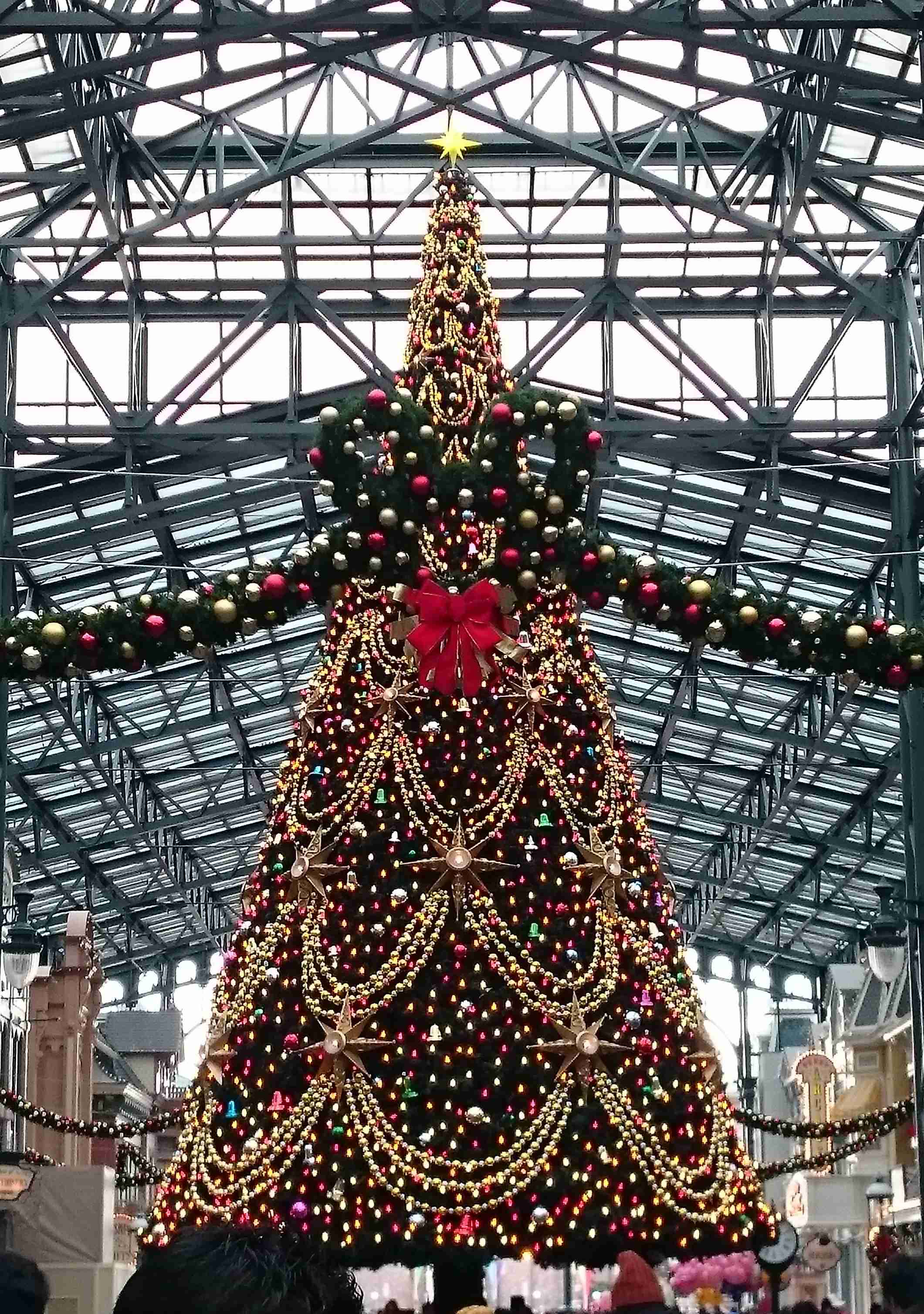 皆さんが撮ったディズニーランド&シーの写真を見せてください