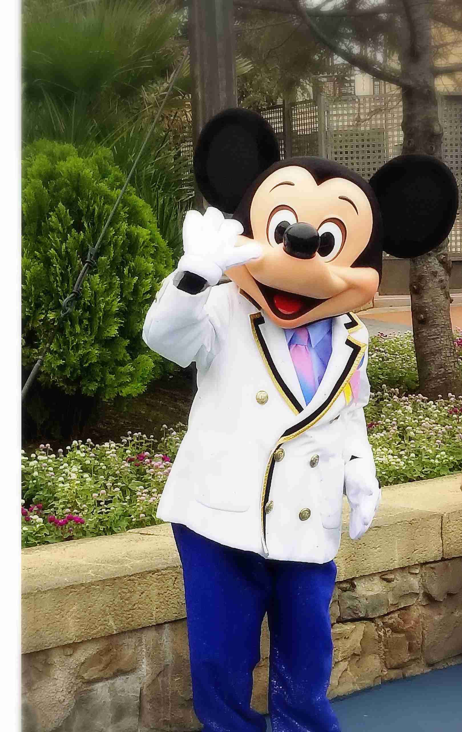 皆さんが撮ったディズニーランド&シーの写真を見せてください